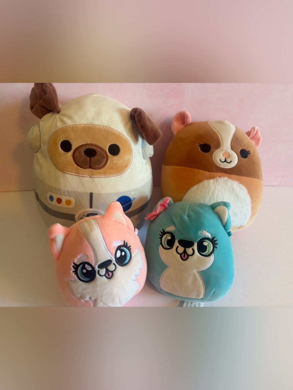 Squishmallow Lot : 2 8” plush and 2 5” plush